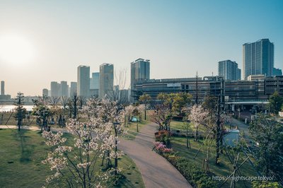 🌳 도요스 공원(豊洲公園)